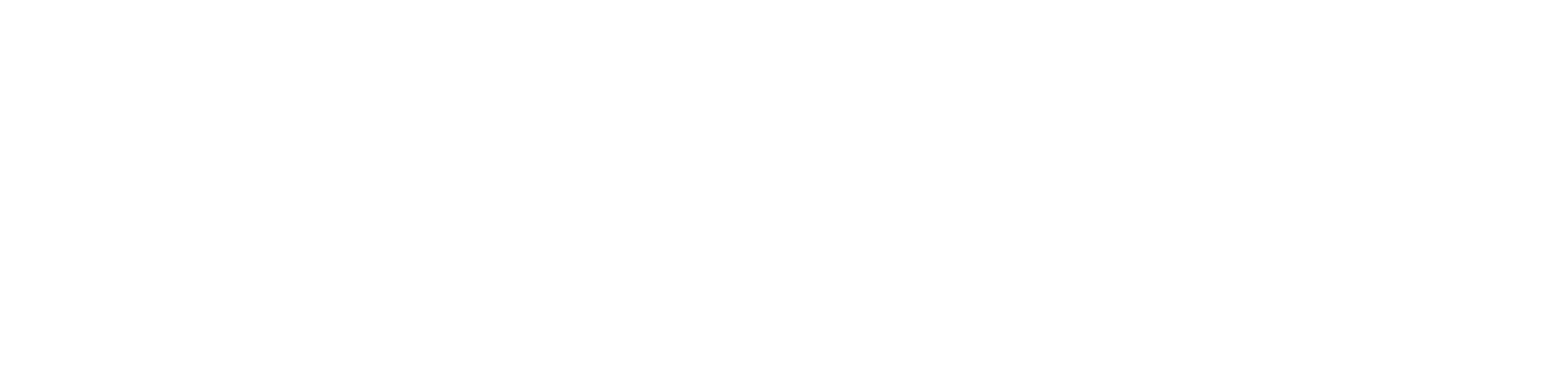 Voltage logo